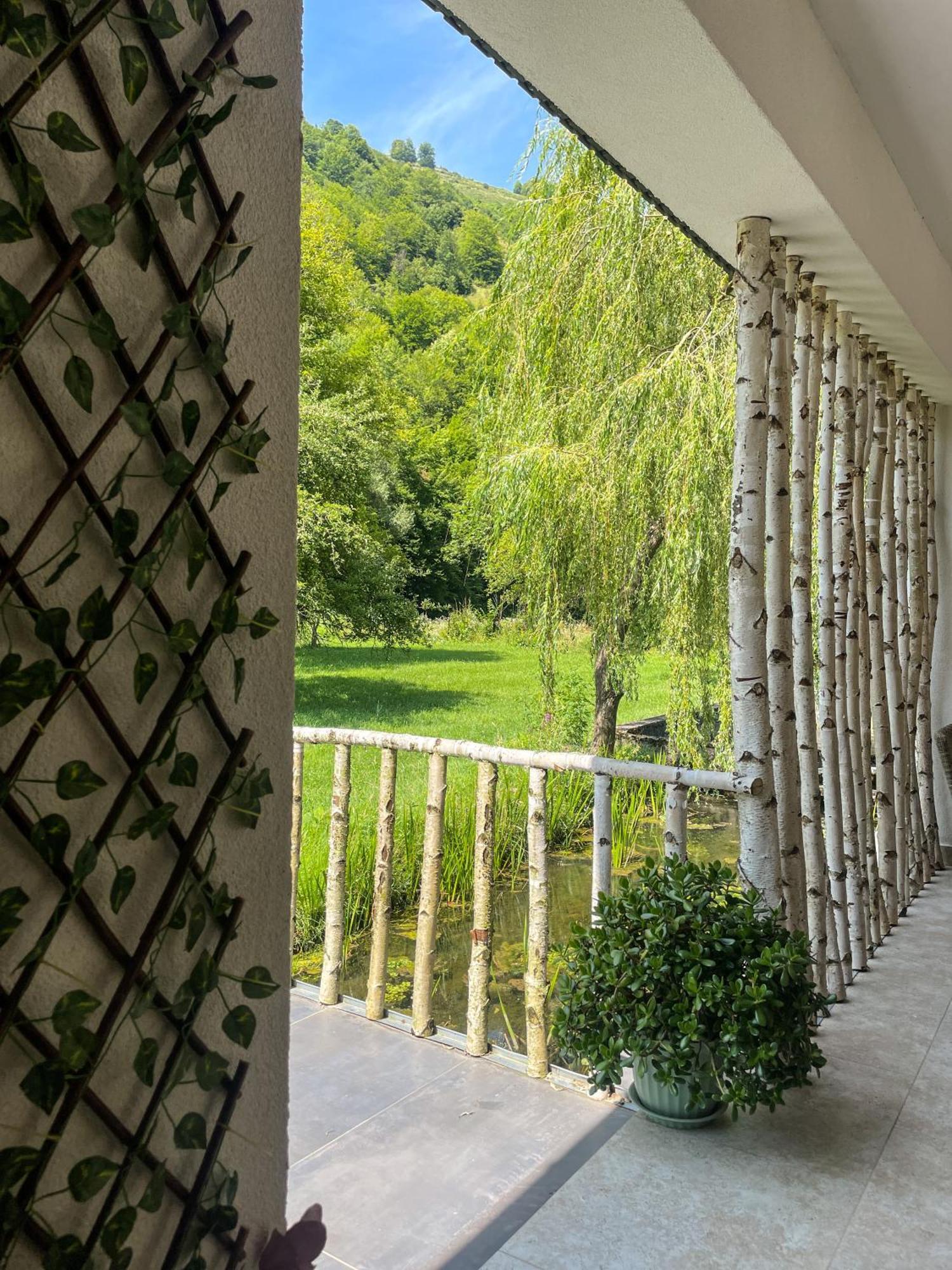 Pensiunea An De An Remeţi Exterior foto
