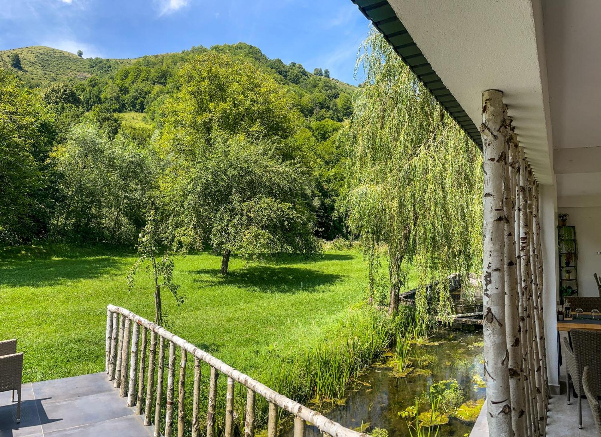 Pensiunea An De An Remeţi Exterior foto